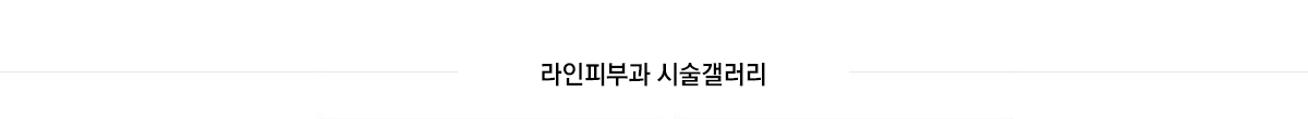 시술갤러리